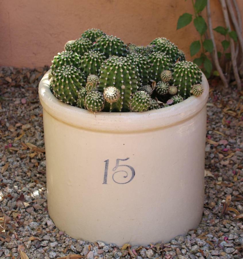 Adobe Rose Inn Tucson Exteriér fotografie